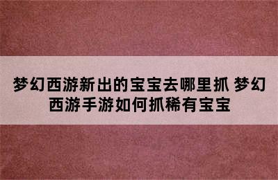 梦幻西游新出的宝宝去哪里抓 梦幻西游手游如何抓稀有宝宝